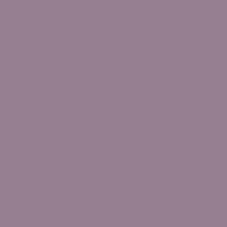 PAINTERS PALETTE FOG 121204