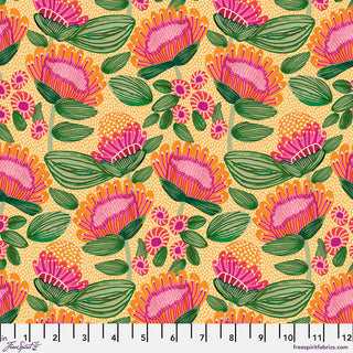 PLAYFUL PROTEAS APRICOT PWKI001.APRICOT