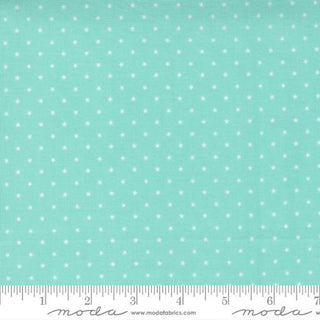 TWINKLE SKY 24106-49