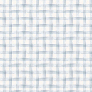 GINGHAM WASH EGRET DCJ3494