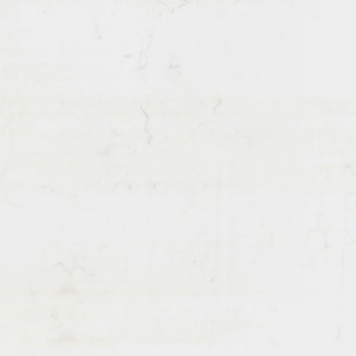 BALI WATERCOLORS 1895-307 SNOW