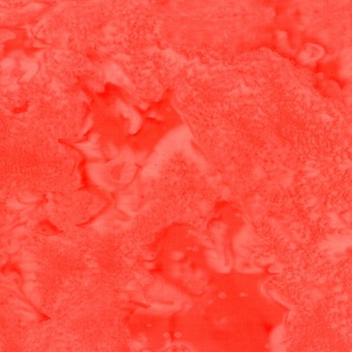 BALI WATERCOLORS 1895-469 NASTURTIUM