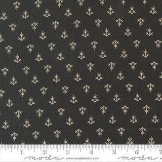 POSH ONYX NOIR 30775-19