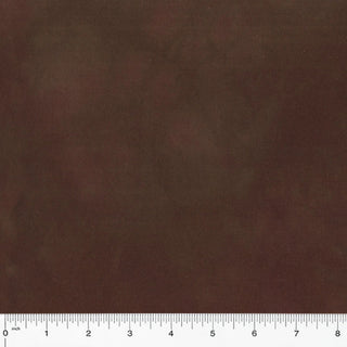 PALETTE SOLIDS ESPRESSO 37098-84