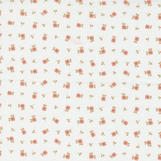 29175-14 PEACHY KEEN LIGHT BLUE