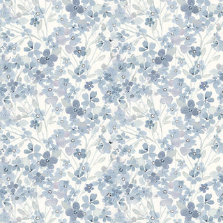 HYDRANGEA EGRET DCJ3489