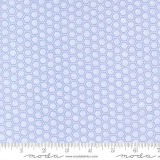 56085-19 HONEY LAVENDER LAVENDER