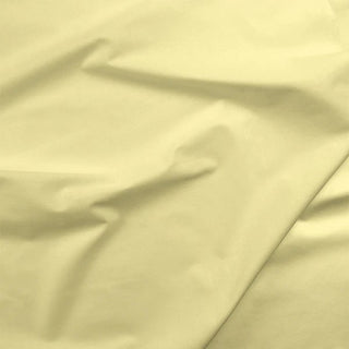 PAINTERS PALETTE CITRUS YELLOW 121063