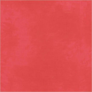 PALETTE SOLIDS DRAGONFRUIT 37098-121