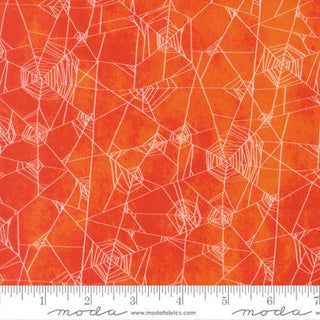 COVEN SPIDERWEB SPICE 48804-13