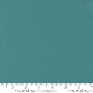 BELLA SOLIDS POND 9900-109