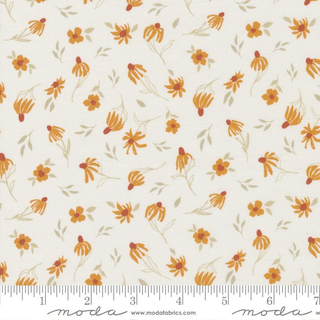 11908-11 SUNDANCE CLOUD