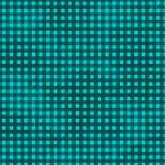 JEWEL GINGHAM JEWE05357T