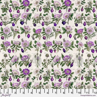 BOTANICAL PURPLE PWTH306.PURPLE