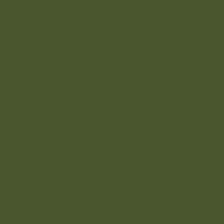 PAINTERS PALETTE KELP 121114