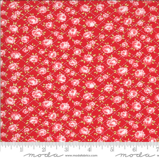 SHINE ON ROSES 55214-11