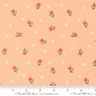 BOUNTIFUL BLOOMS PEACH 37662-13