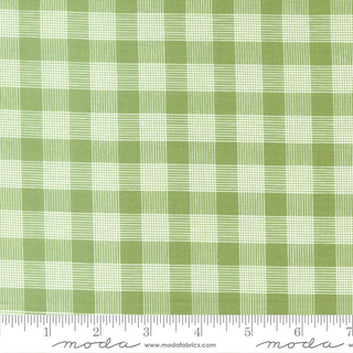 BOUNTIFUL BLOOMS FERN 37665-19