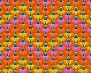 PERENIAL BORDERS FIRE AMT136-79V