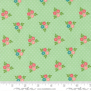 STRAWBERRY LEMONADE MINT 37672-17