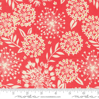 TANGO SIMPATICO TANGERINE 27332 12
