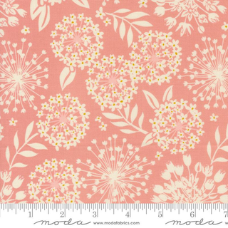 TANGO SIMPATICO PETAL 27332 13