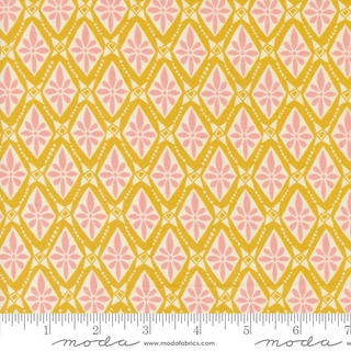TANGO BOLERO SUNSHINE 27336 17