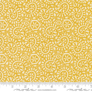 TANGO CANTO SUNSHINE 27337 17