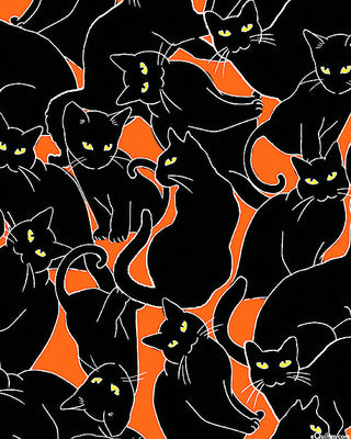 CAT MAGIC ORANGE HALLOWEEN 14951G-39