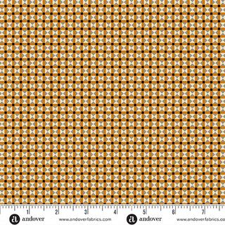 PUMPKIN LICORICE A-1107-O