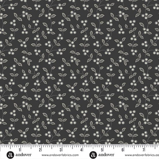 Midnight Moon  A-1530-K