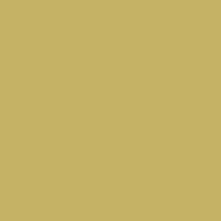 Century Solids  CS-10-HONEYCOMB