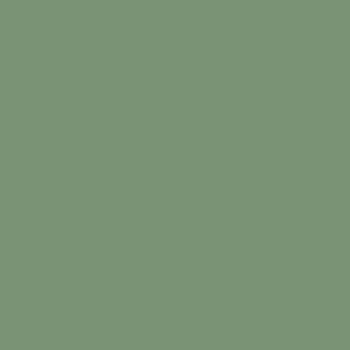 Century Solids  CS-10-JUNIPER