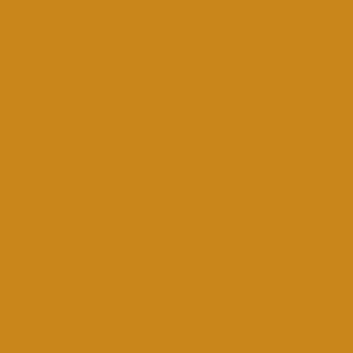 Century Solids  CS-10-MARIGOLD