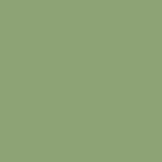 Century Solids  CS-10-ROSEMARY