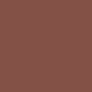 Century Solids  CS-10-RUBY