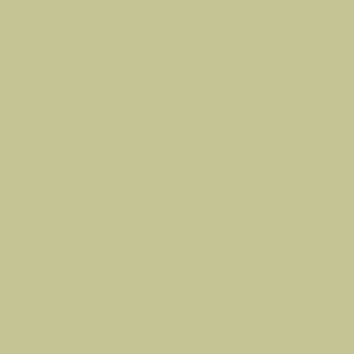 Century Solids  CS-10-SANDDOLLAR
