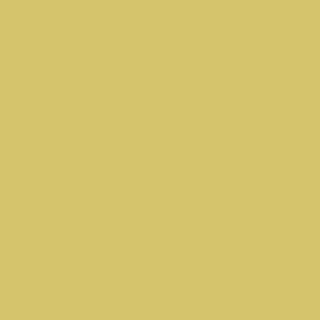 Century Solids  CS-10-Sunnyglow