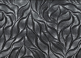 SANDHILL & WATERHOLE BLACK