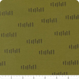 CHILLY THE FOREST PINE 55713-23