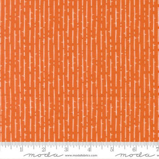 COVEN THORNY STRIPES SPICE 48806-13