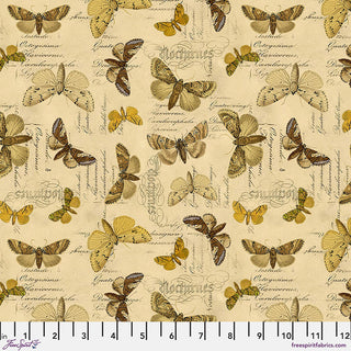 SPECIMEN YELLOW PWTH244.YELLOW