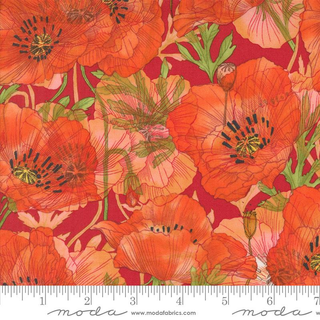 Superbloom  48781 23