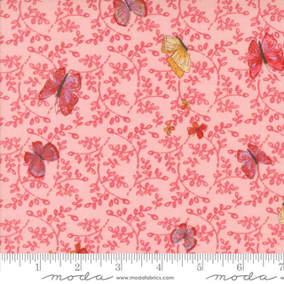 Superbloom  48784 19