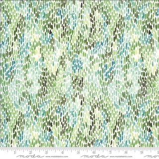 MOODY BLOOM 8448-13D