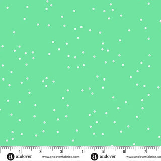SEQUIN ANDOVER MINT A-1371-G1