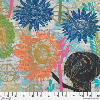 THE STUDIO MULTI PWVW048.MULTI