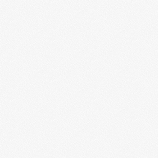 DOVE TAIL WHITE PIGMENT SPOTTY 92032-10