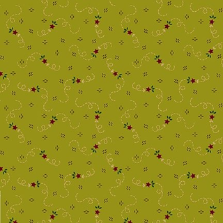 Q-925-66 KIWI QUIET GRACE