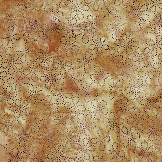 FLORAL DOTS BROWN TAN